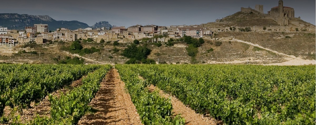 Viñedos de Contador, en San Vicente de la Sonsierra