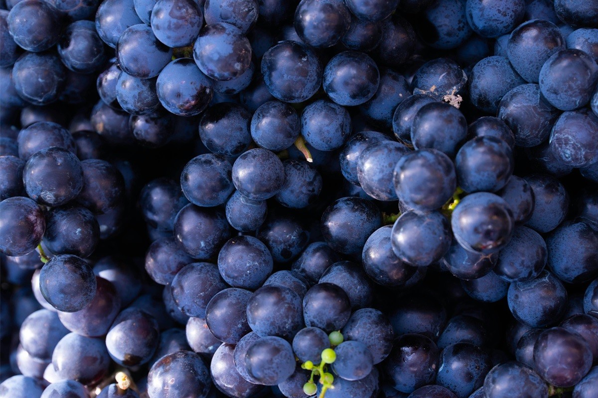 Imatge il·lustrativa