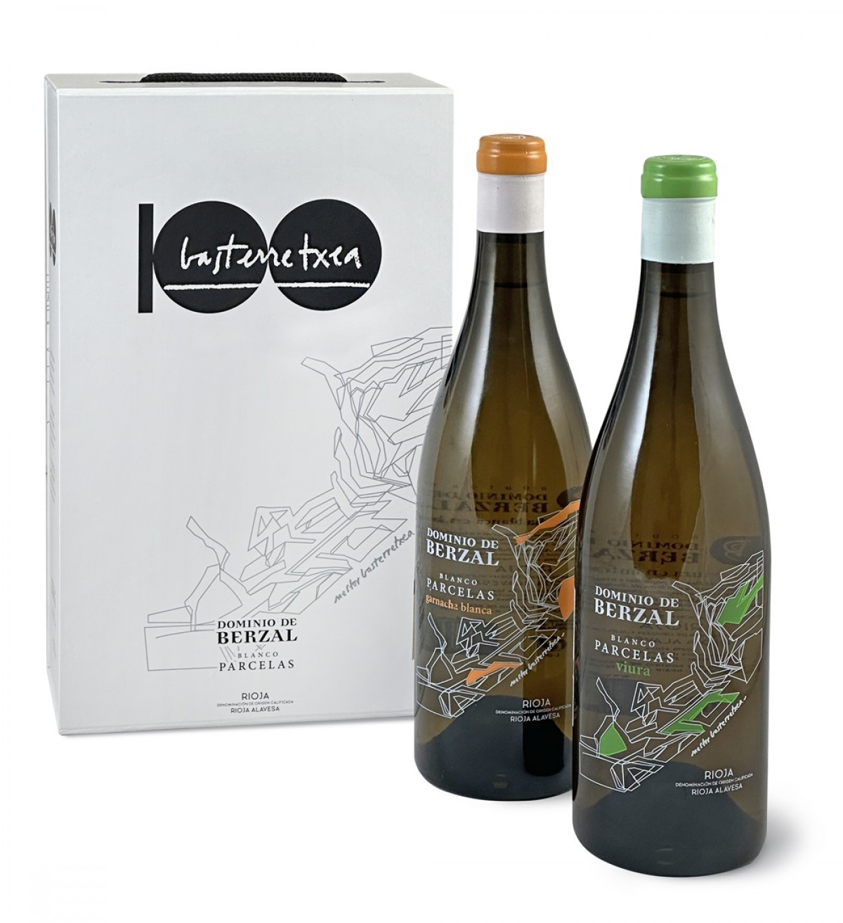 Dominio de Berzal  celebra el centenario de Néstor Basterretxea con una edición especial de sus vinos Parcelas