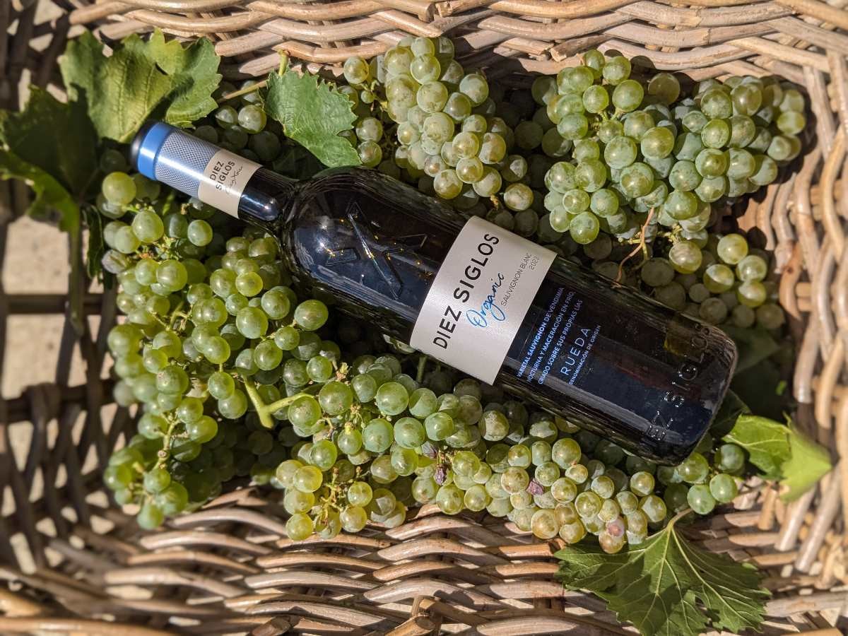 Tecnología y tradición se funden en este vino con alma de Rueda.