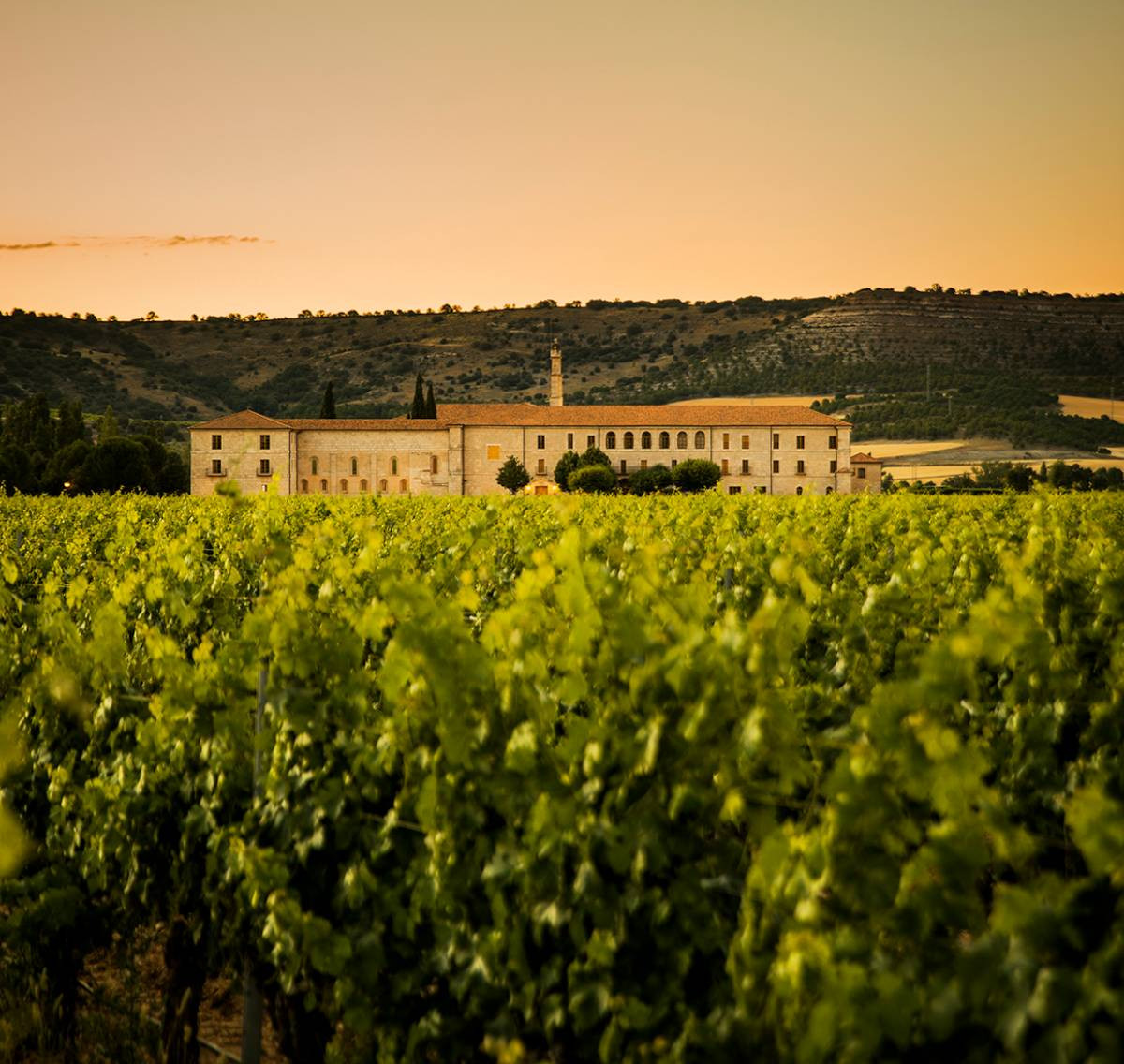 Abadía Retuerta, una historia que arranca en el siglo XII y un presente centrado en la sostenibilidad.