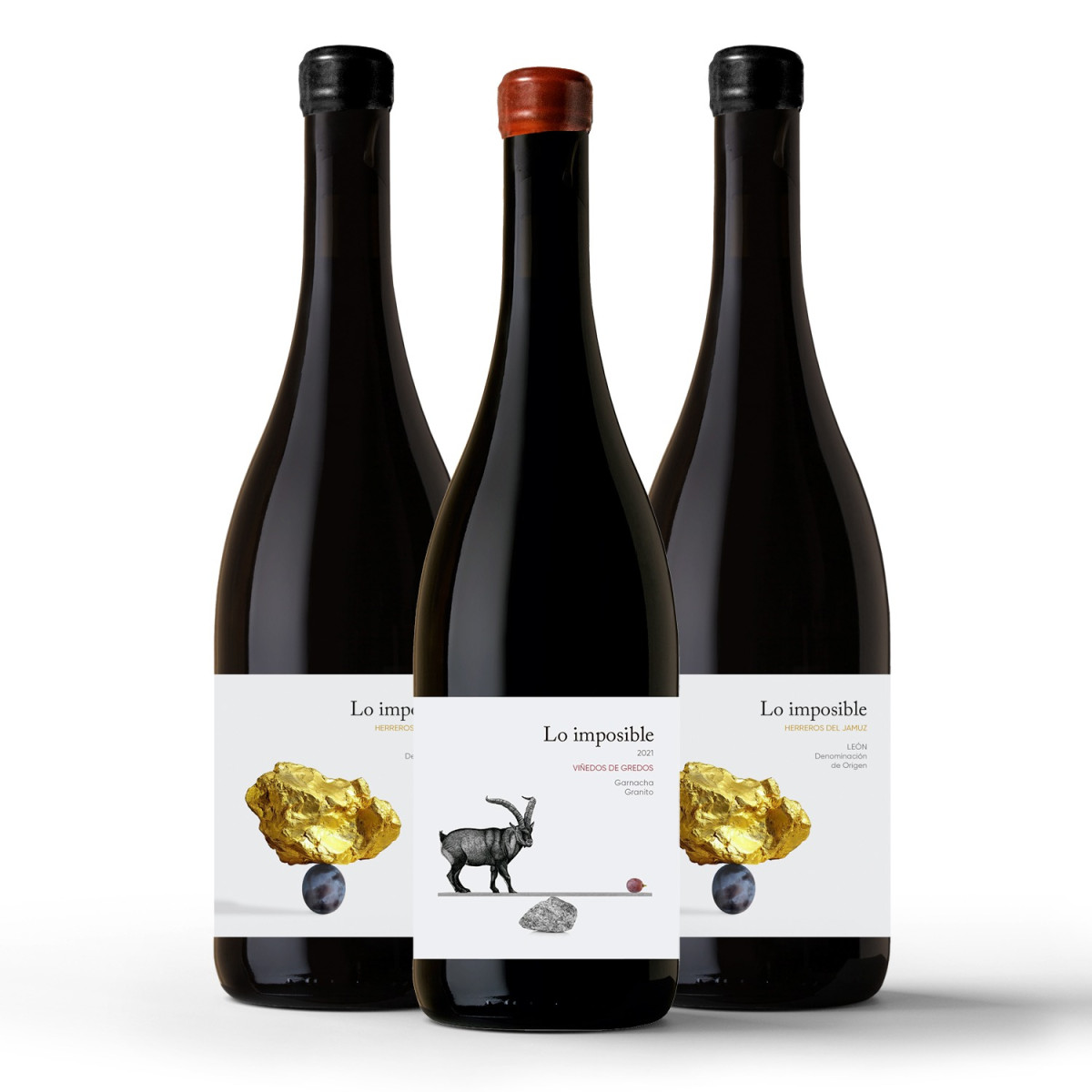 Lo Imposible del Jamuz viaja a León para rescatar las viejas mencías y garnachas