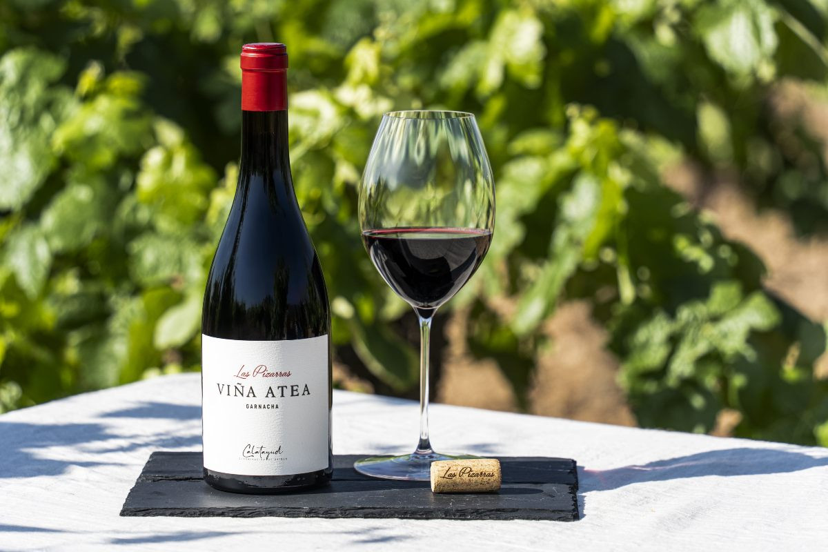 Las Pizarras Viña Atea, la nueva garnacha de pueblo de Bodegas Raíces Ibéricas.