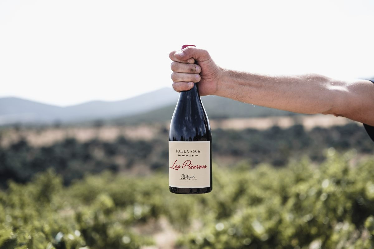 Las Pizarras Fabla #506 2024, de Bodegas Raíces Ibéricas.